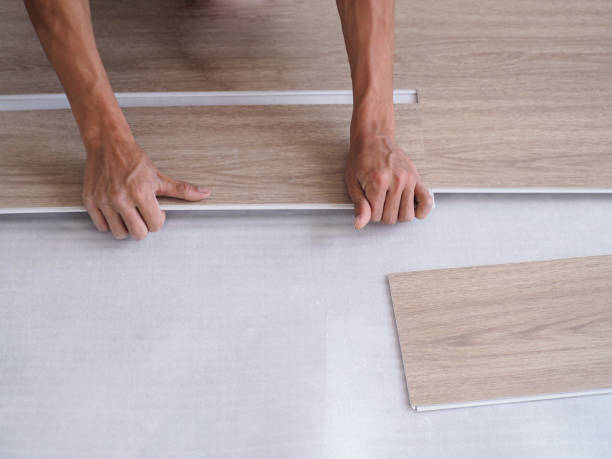 istockphoto-1482844564-612x612-1.webp